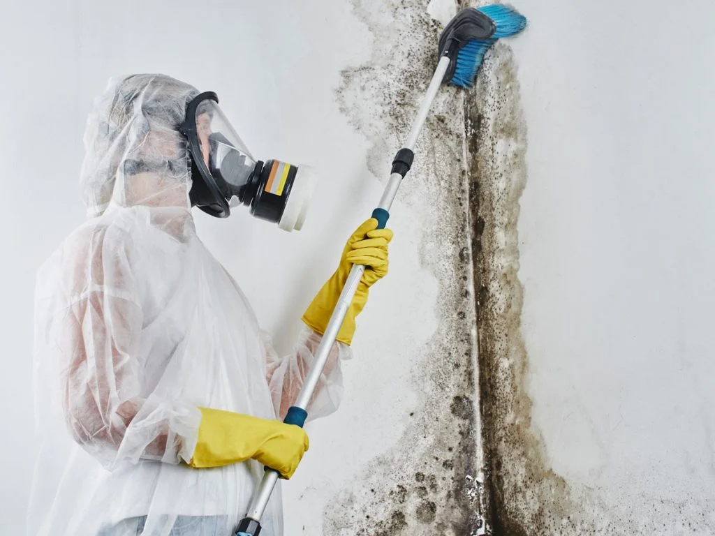 Wider or recurring contamination